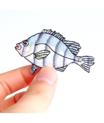 Patch Poisson Peroquet