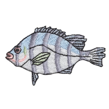 Patch Poisson Peroquet