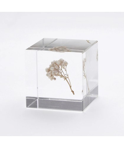 Fleur de riz