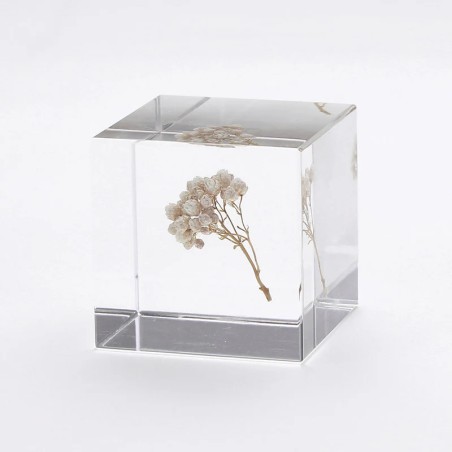 Fleur de riz