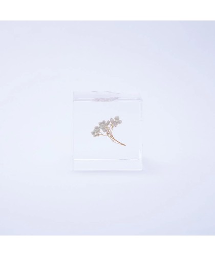 Fleur de riz