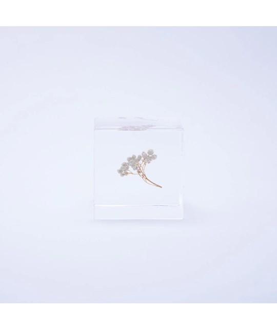 Fleur de riz