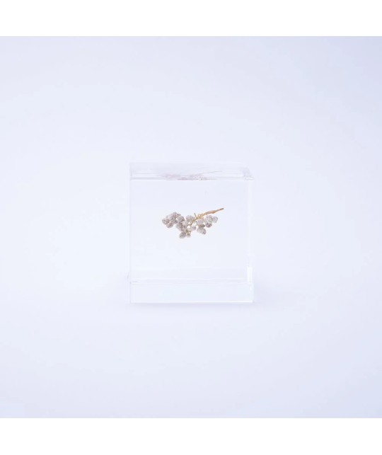 Fleur de riz