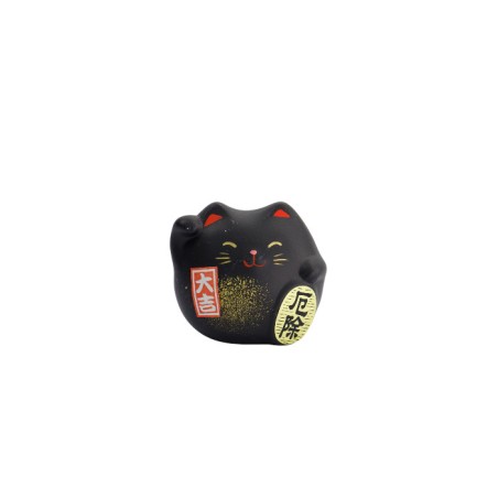 Lucky Cat noir