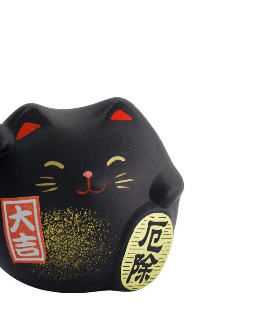 Lucky Cat noir